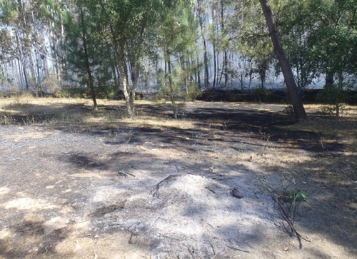 72983 44167ddb b090 4d3c bb2c aad5f8910bfa negligencia