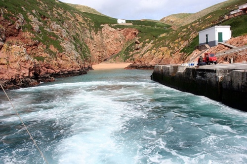 72997 c3e106d9 20e1 4044 9b13 ac672a7676bf rato 72997 c3e106d9 20e1 4044 9b13 ac672a7676bf rato