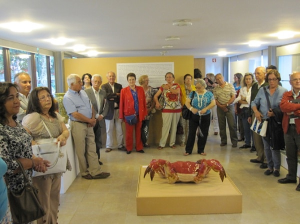 73039 59804af2 5932 4caf aa60 d9e3f0affe0d ceramica