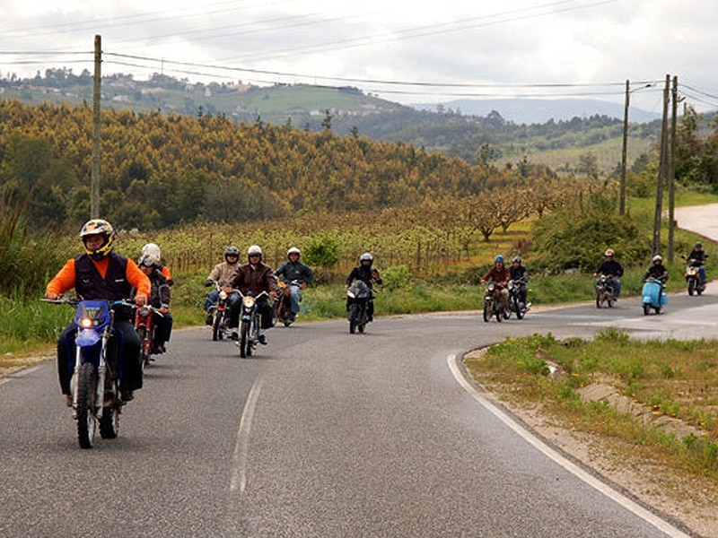 73053-a1d01b79-cb94-4303-b8d8-73069cca05f5-motas