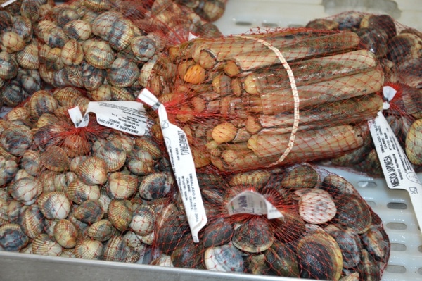 73054 a4fe4971 7898 4f59 9909 89ef81bc939f percebes 73054 a4fe4971 7898 4f59 9909 89ef81bc939f percebes