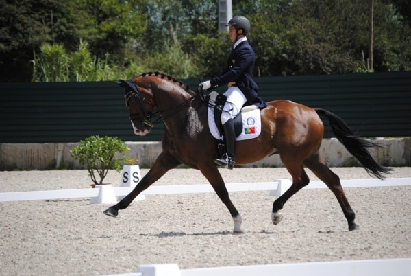 73062 af323d02 9b79 4541 be1b 642b18cdcc22 dressage1