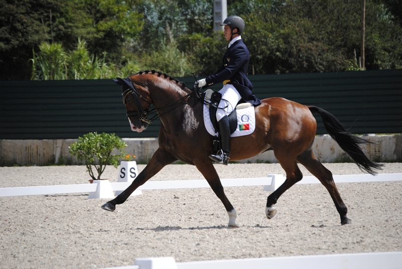 73062-af323d02-9b79-4541-be1b-642b18cdcc22-dressage1