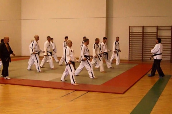 73068 94f8862e 6cdf 455d b856 060afa45f634 taekwon do