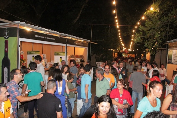 73081 026db645 59d2 47a6 8113 52ef212d92b7 festival 1