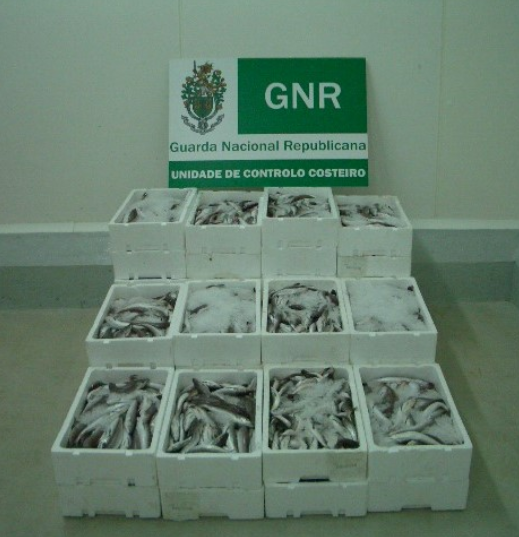 73083 71f8b695 b5bd 4555 9fb5 da0f0ef78bd2 pescada