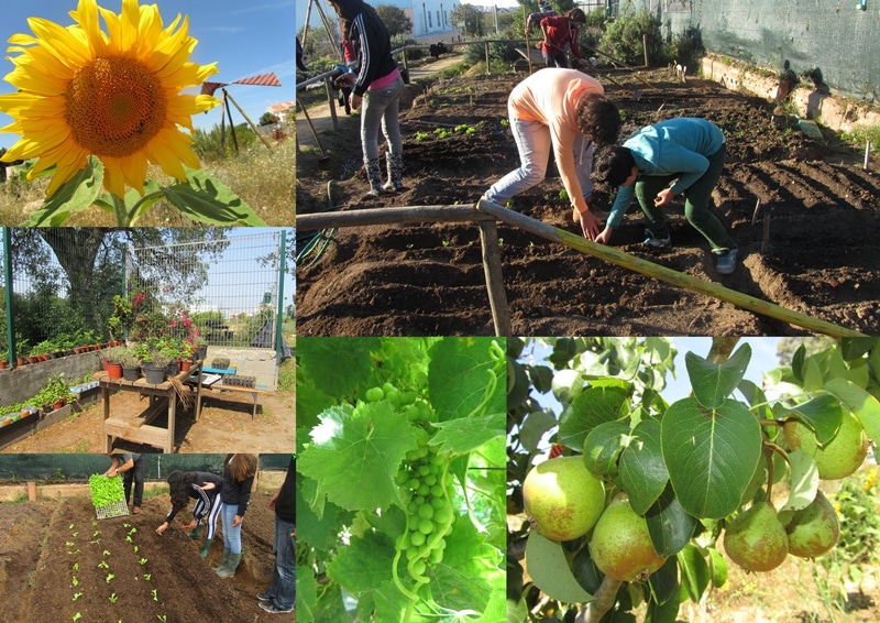 74112-3185c918-33a9-41df-bd70-05d76ebeefe8-parque