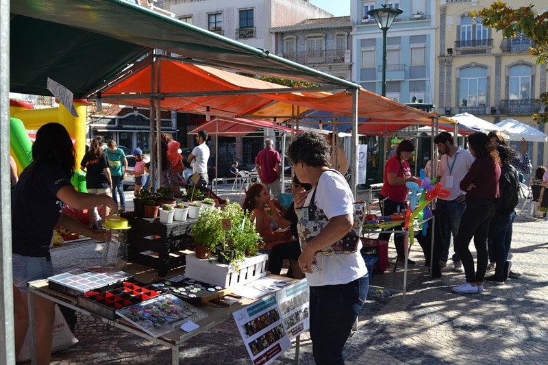 74133-75f2c8ac-07be-48e2-b9cd-3a04a0805642-mercado-1