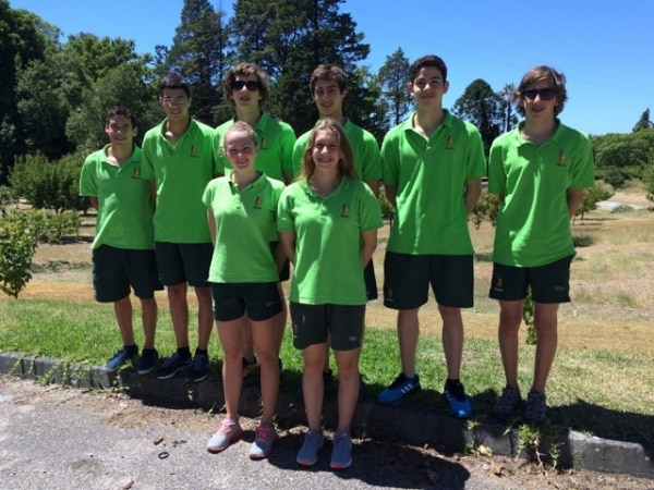 74227 03d023d7 37d5 4c78 a80d 202b39ffd32e pimpoes