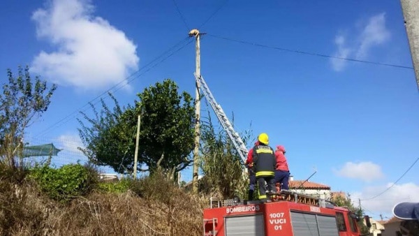 74247 e53b7fdf 63a2 409e bc37 926301de1df7 gato