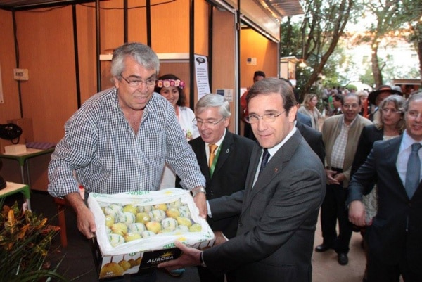 74277 52a3d55c 2247 4025 b199 552ceb3f68c7 pera1