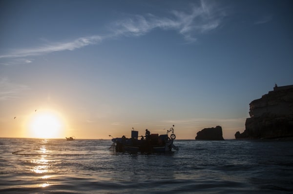 74280 d76e1a7e 5663 4a1c 9b2b 8737789b2726 sardinha 74280 d76e1a7e 5663 4a1c 9b2b 8737789b2726 sardinha