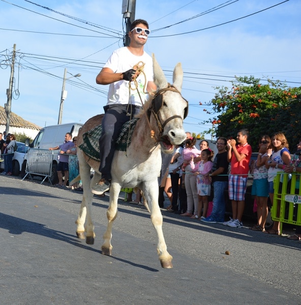 74287 2483c24e d947 46c3 b6be 1207ee30757e burros1