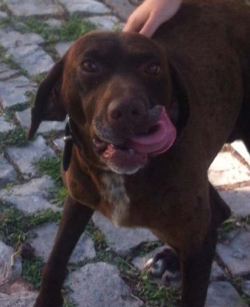 74307 28f19431 e6ba 4b0f b332 3bb728d93f66 cantinho1