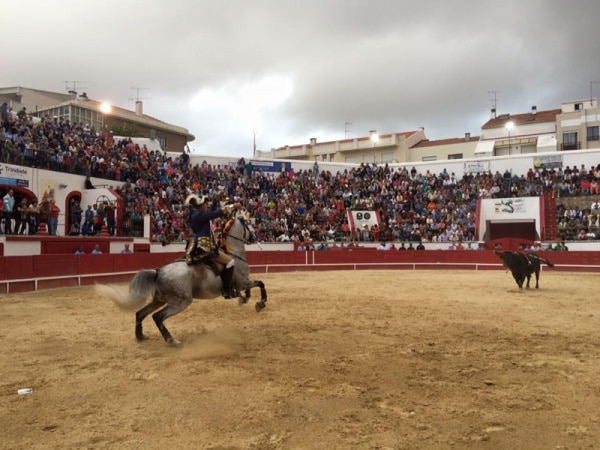 74359 6b4acec3 430c 46c6 8ffb e3cf6fa28cd7 touros1