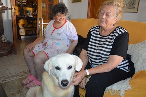 74368 0aacd6e2 3965 4f6c a463 e861b047ca08 viuvez1