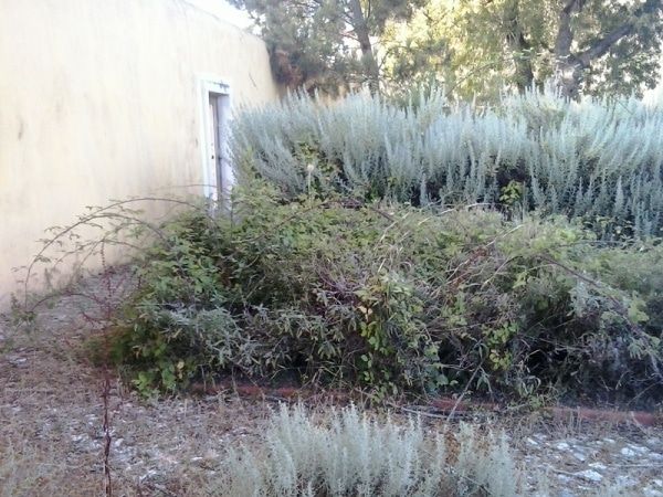 74372 435e03e5 b632 4366 b71c b623c05eb2a4 toma2