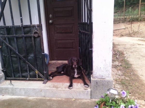 74374 14d42a62 dc70 4658 93ed 9befd54664d5 cantinho1