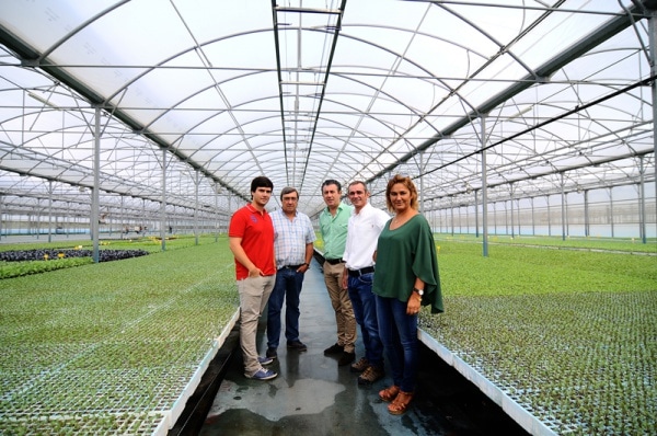 74420 c43c033c 98f1 449b b75b f0c3a6802e7d valado 74420 c43c033c 98f1 449b b75b f0c3a6802e7d valado