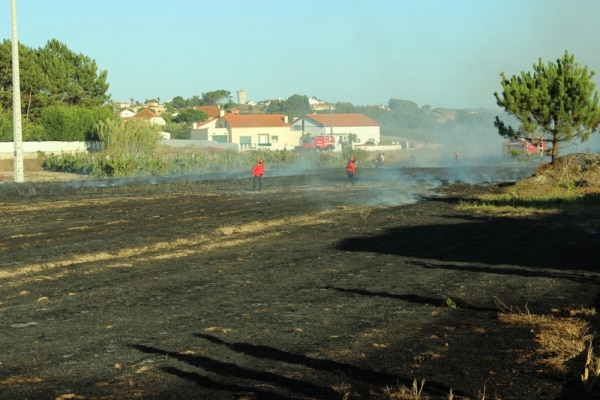 74431 03b56bc9 eff6 4bdf a1dd 2a5926680dcf incendio1