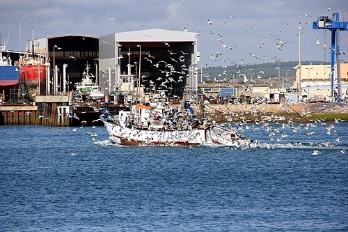 74476 c2c95217 53f9 4825 9965 bba64478cd2f cerco 74476 c2c95217 53f9 4825 9965 bba64478cd2f cerco