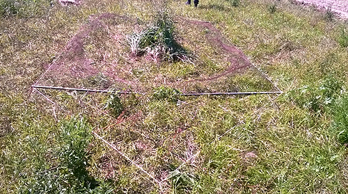 74486 008e7188 3234 4148 b092 8b3fa770c8d7 gnr1