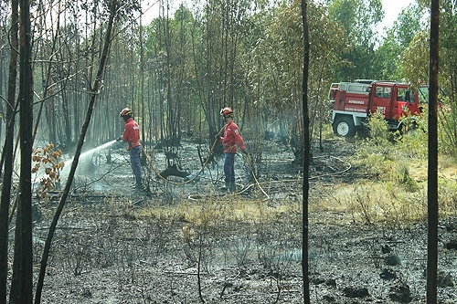 74487 585502f5 e9ce 418a b54d fe54edb20a8c incendio1