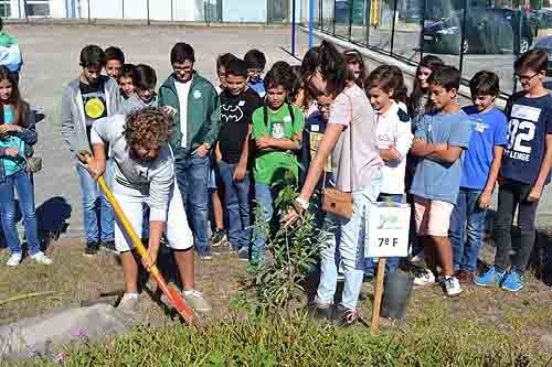 74753 522cabbd 3049 4103 9e92 1326f98140bf raizes