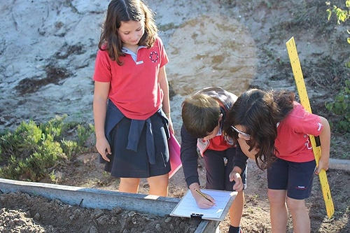 75175 c62d7d01 513c 41cf bb44 a61dd01375fc horta 1