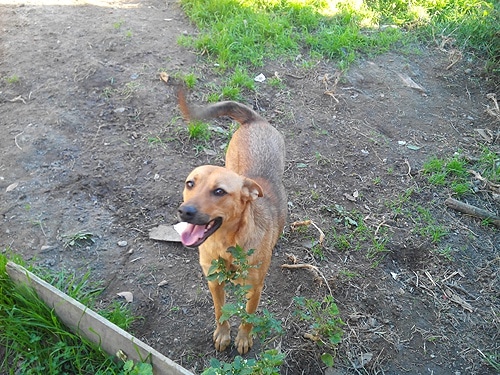 75485 1886cd89 deea 4dda 91fc 725a695778ed cantinho1 75485 1886cd89 deea 4dda 91fc 725a695778ed cantinho1