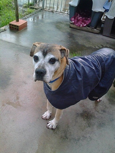 76904 ced77914 4705 438b 9d31 ad16bbda1a09 cantinho1