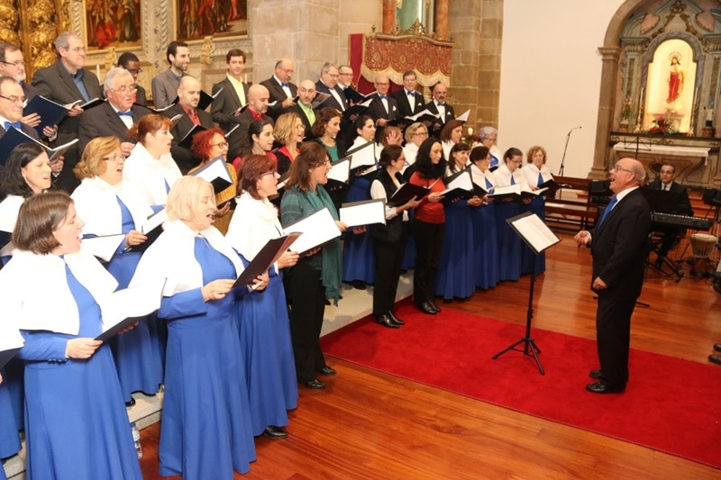 77078-c0545e65-7e70-4d58-89d3-dd0a5a5c99a6-stella