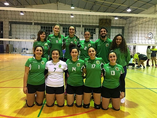 77145 037a01ec 9e5a 4efc 8f73 b5110ade2b5e volei