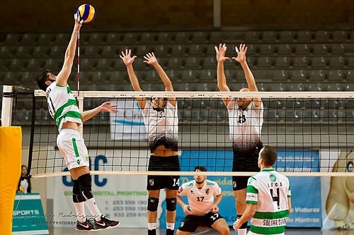 77149 3b3dbe3a fddc 4068 96d7 8a2a7263463a scc