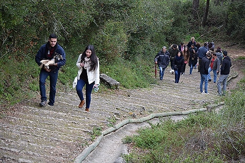 77179 d9a0b3bd 33aa 4b2a bdd2 ff82469175e2 antao1