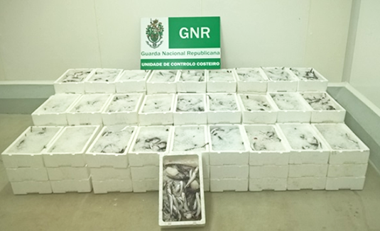 78421 b5afe73e e0e8 4d4b 8b96 b6fcc41bd1ea pescada 78421 b5afe73e e0e8 4d4b 8b96 b6fcc41bd1ea pescada