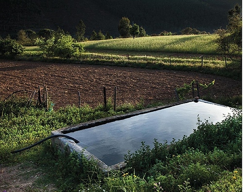 79516 7e654518 646c 49bf a7aa 9a2669d48838 vinagre