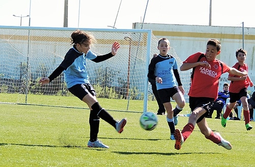 79541 8df3e06f ac67 4275 8cca 9ce94c485117 aeobidos 79541 8df3e06f ac67 4275 8cca 9ce94c485117 aeobidos