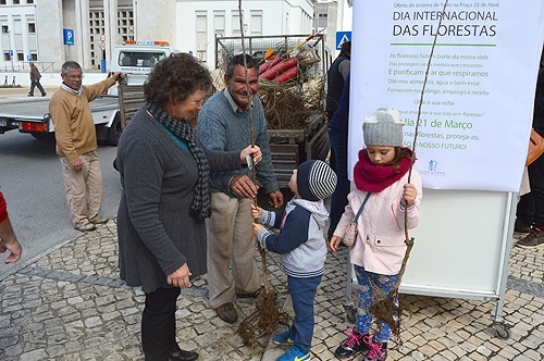 79952 07f85c3a a5eb 42c2 9f27 f2728eacc453 arvore