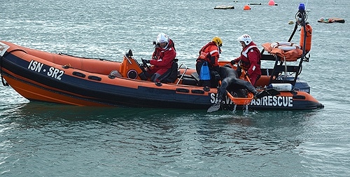 79990 455ae1d1 8b7d 482f b45f 9cab6a772d60 salva 79990 455ae1d1 8b7d 482f b45f 9cab6a772d60 salva