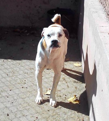 80174 71205f2d 8e9b 4048 ba9d 24a7aee11165 cantinho1