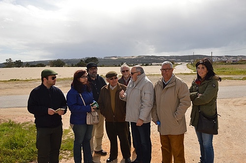 80185 52280294 65da 42c3 b247 1c4310dead5f verdes