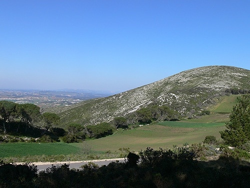 80189 12dfdf50 ee74 450c aeb4 169c515766a0 serra