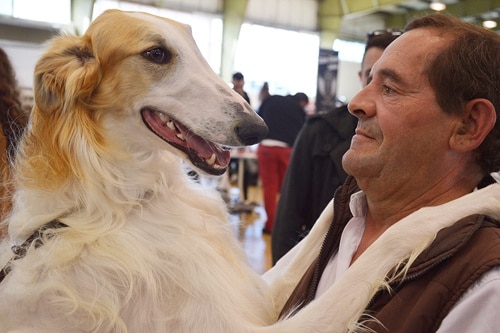 80208 7850eeed 2025 45aa b1a2 ac492ded3e88 caes1