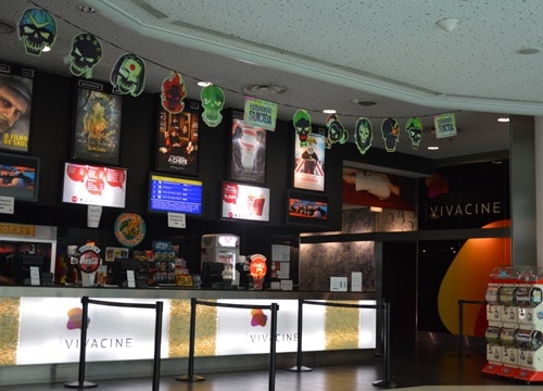 80225 c49607fb c7c6 4ac9 ba9f c77fc295c2b4 vivacine