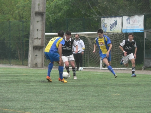 80228 5b1093ed c293 48b5 adcc 109de6d39ca1 avelarense