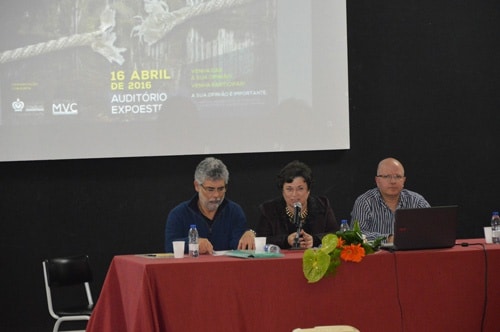 80283 a555a503 3808 4428 af67 6c63ec3c1d12 mvc 1