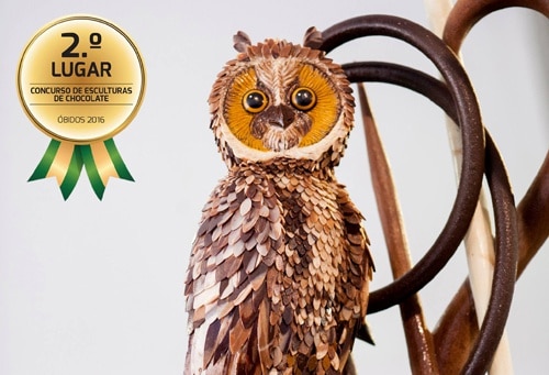 80292 0c1e4c8c 5592 4a7c a73b 96883c9952ab festival2