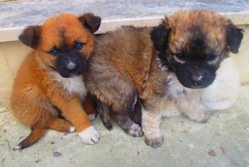 80327 65b6a297 85ec 4333 8397 ab71228c7ca8 cantinho1