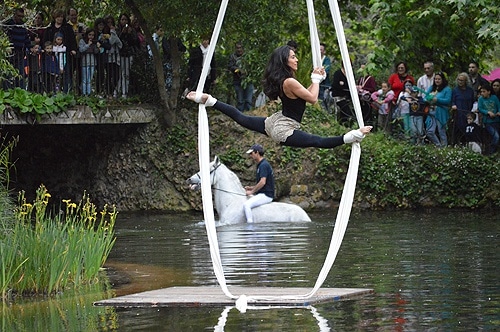 80621 824cce85 69cd 4979 9180 84907159ee4f cavalos11